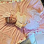 baby, infant, pink_blanket, headband, bunny_ears, tutu, clothing, lying_down, soft_texture, bed, baby_girl, cute, face, person, portrait, indoors, decor, fabric, baby_accessory, resting