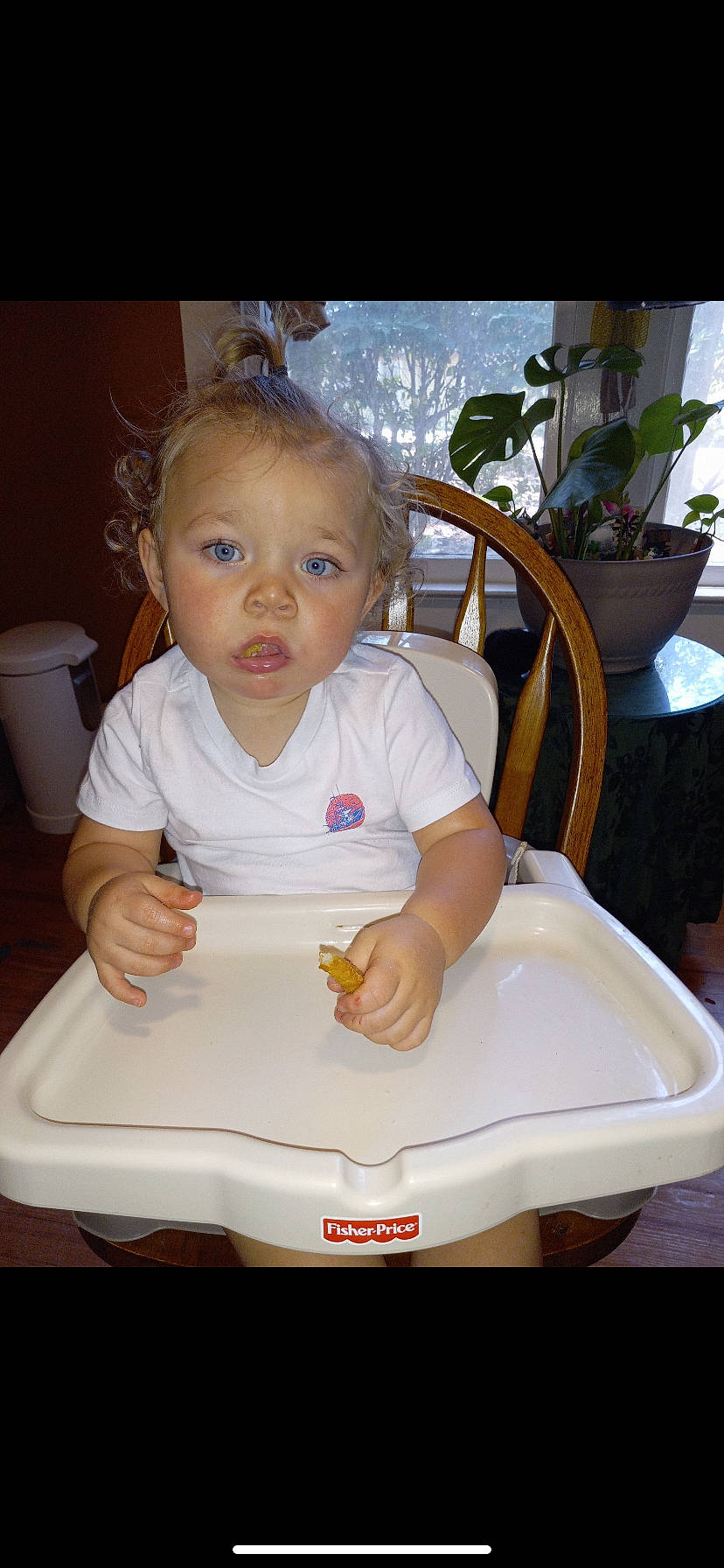 Briar joined the competition — help win amazing prizes! baby_toddler_clothing, bib, chair, cheek, chin, drinkware, eyebrow, face, facial_expression, flowerpot, hair, happy, head, houseplant, iris, person, plant, skin, sleeve, table