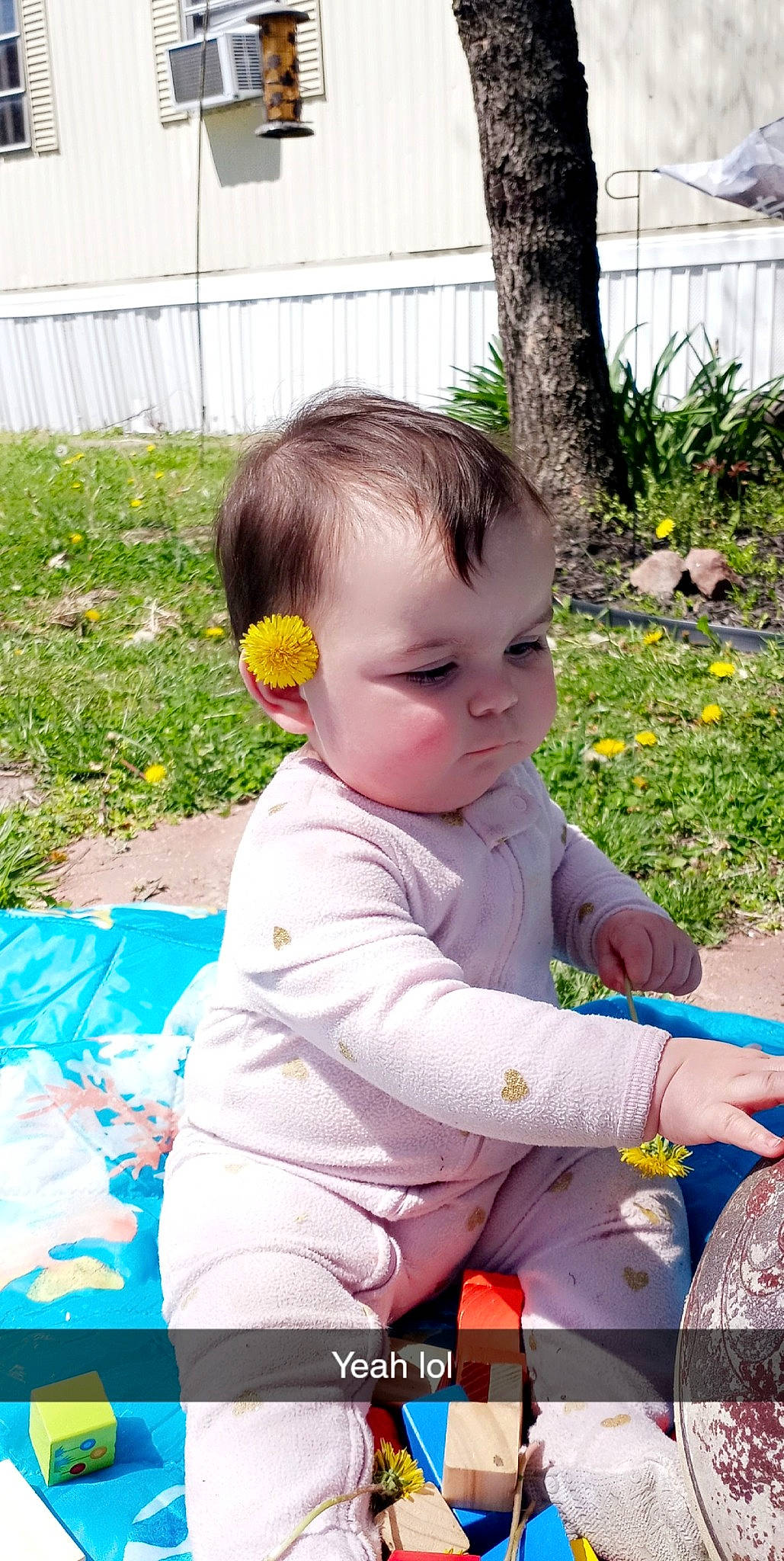Fallon is registered to the contest to win money with this photo: baby, baby_products, baby_toddler_clothing, child, eye, face, flower, fun, grass, happy, head, iris, leisure, people_in_nature, person, plant, play, recreation, sitting, toddler