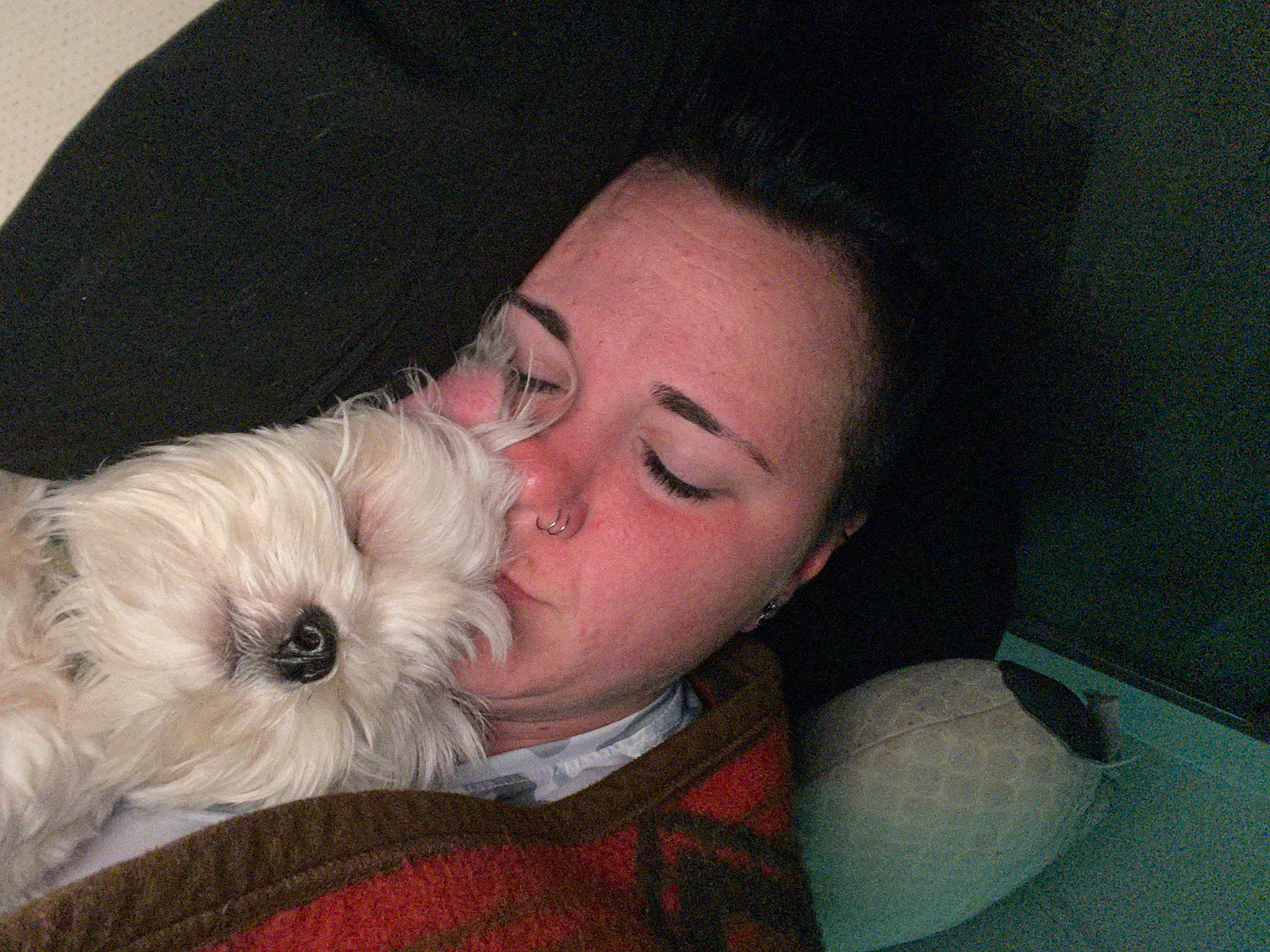 Atlas is registered to the contest to win money with this photo: black_hair, carnivore, comfort, companion_dog, dog, dog_breed, ear, eyewear, fun, fur, gesture, happy, nap, nose, selfie, small_terrier, sunglasses, terrier, toy, toy_dog