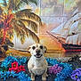 artificial_flowers, backdrop, blue_tinsel, colorful, cute, decorations, dog, festive, holiday_theme, indoor, palm_tree, pet, portrait, purple_flowers, red_flowers, sailing_ship, sitting, small_dog, smiling_dog, sunset