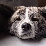 Eroi Etsuko a rejoint le concours — aidez-le/la à gagner de superbes lots !