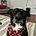 Molly