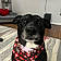 Molly