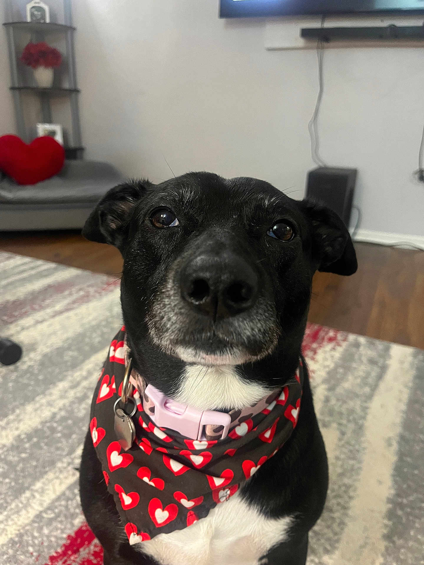 Molly