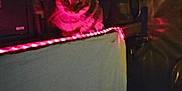 Rascal is registered to the contest to win money with this photo: cat, animal, pet, indoor, dim_light, red_light, string_lights, feline, dark, household, container, shelf, food_bag, microwave, shadow, quiet, resting, furniture, cozy, curious