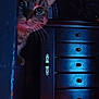 cat, tabby, peeking, door, wooden_dresser, furniture, dim_light, eyes, curious, indoor, shadow, blue_tone, whiskers, animal, pet, mystery, closeup, face, dark, quiet