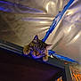 cat, tabby_cat, sleeping, wooden_surface, light_bulb, blue_tape, plastic_sheet, indoor, pet, animal, feline, resting, close_up, ears, whiskers, paws, dim_lighting, shadow, background, lamp