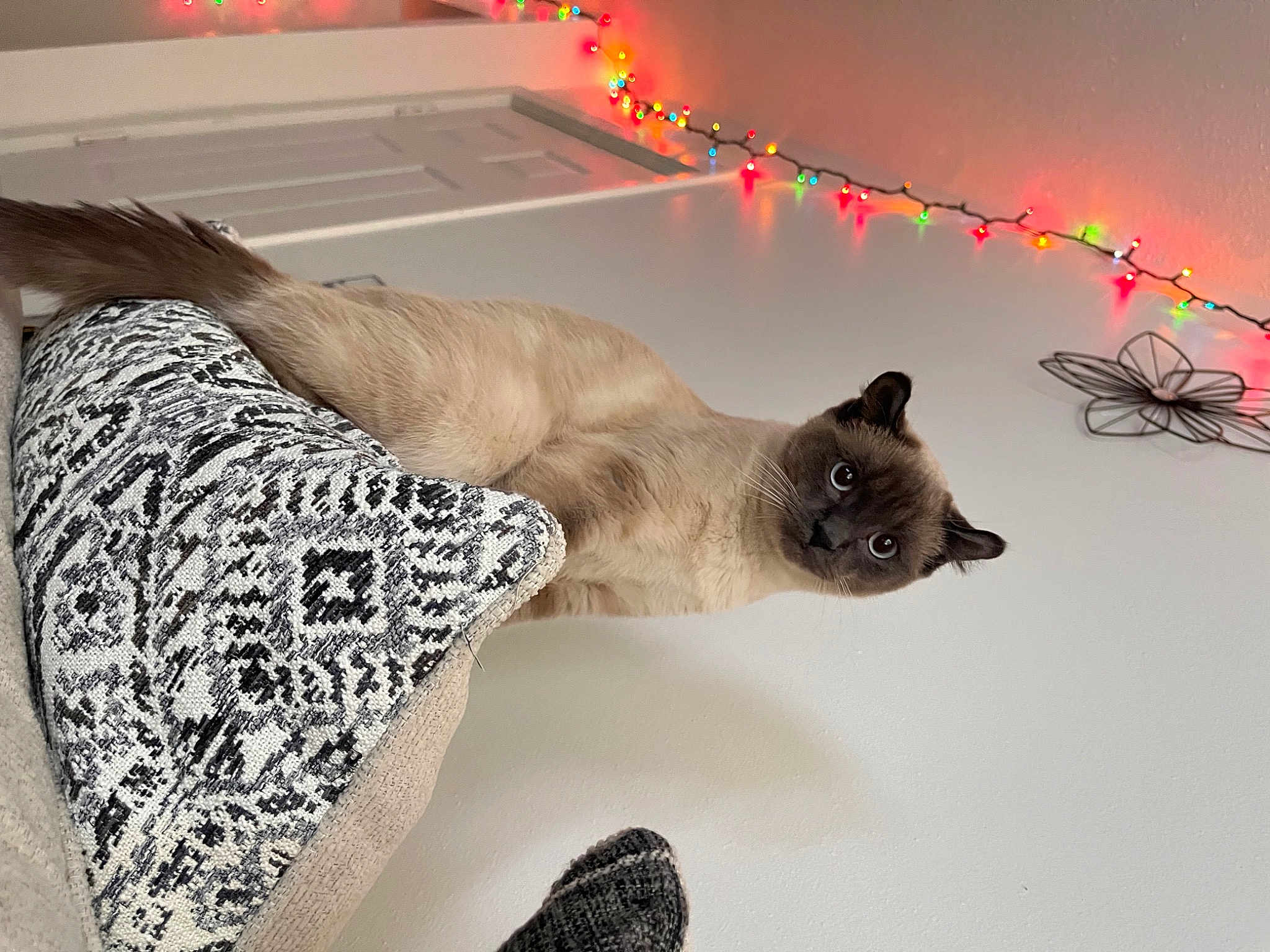 Jerry