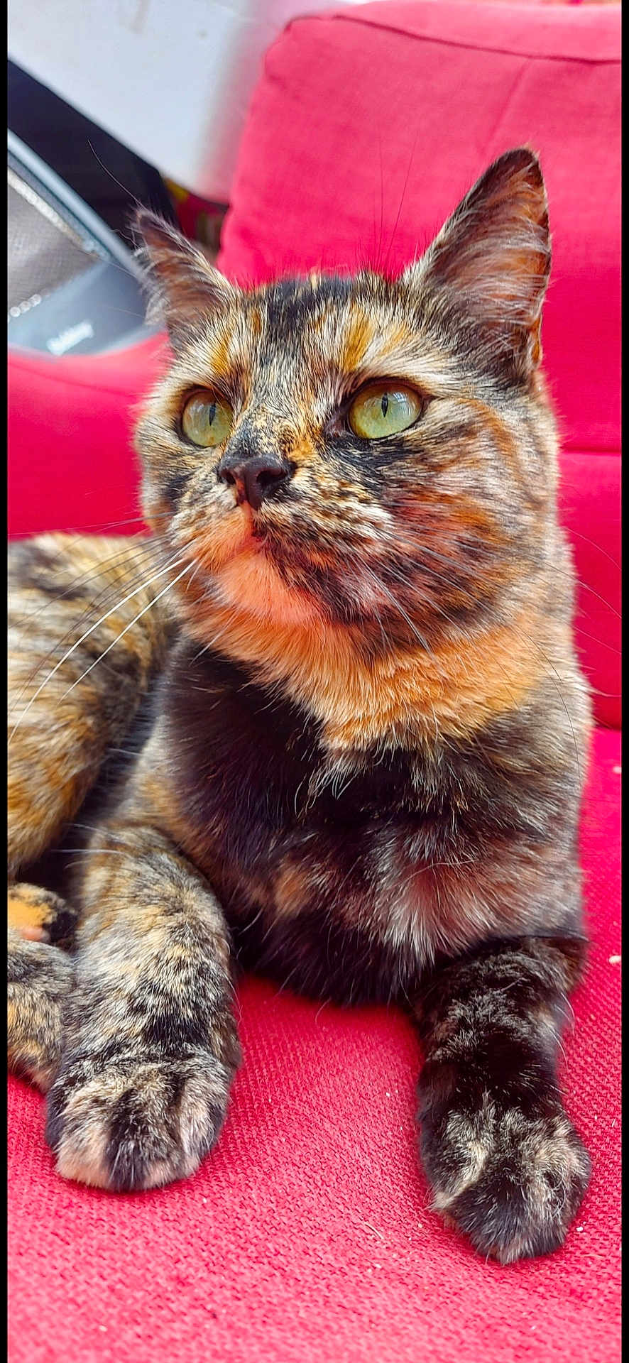 Luna
