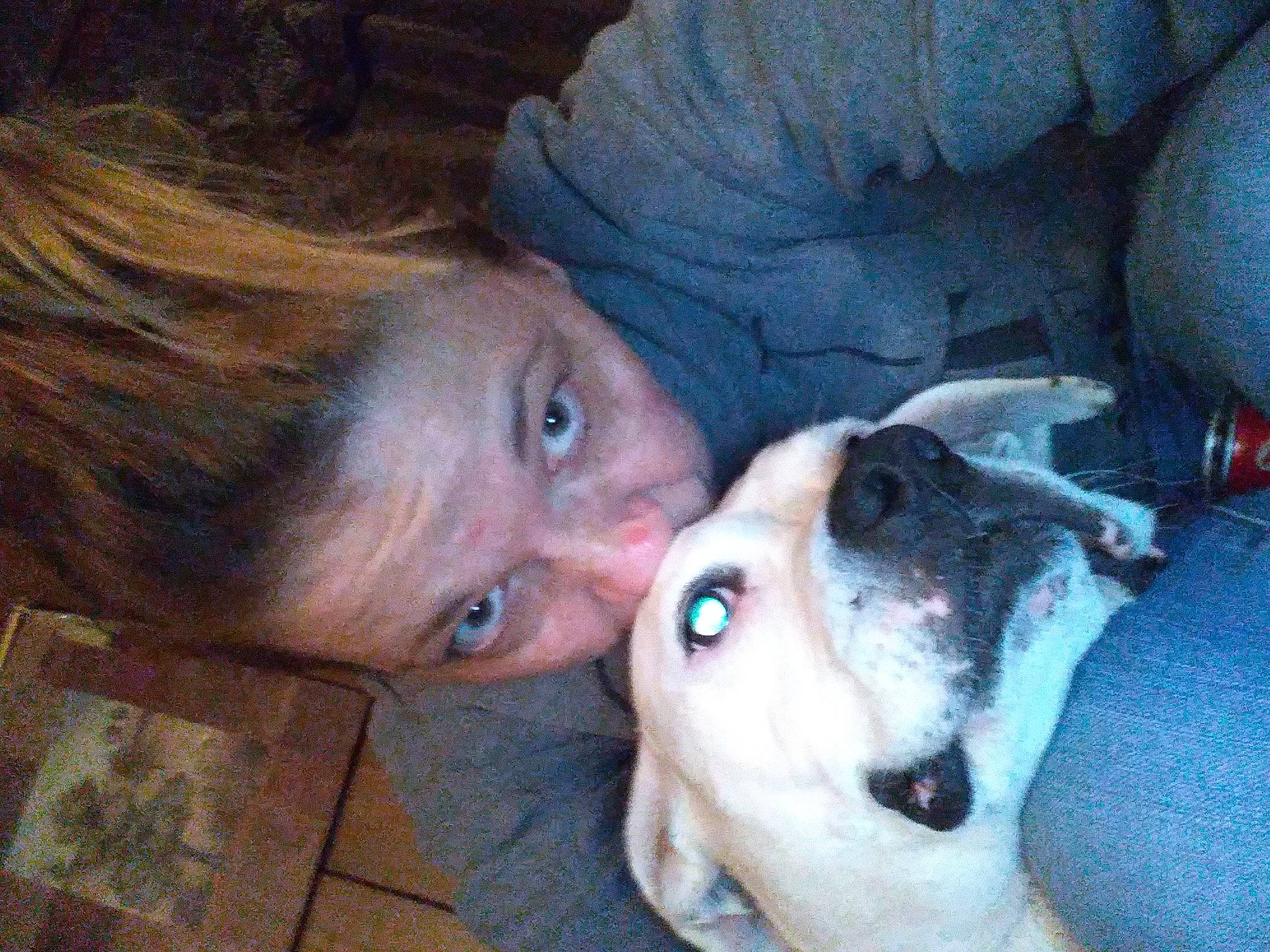 Patches is registered to the contest to win money with this photo: canidae, carnivore, comfort, companion_dog, dog, dog_breed, ear, fawn, fun, fur, happy, jaw, mammal, nose, selfie, snout, sporting_group, whiskers, wood, working_animal