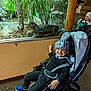 alligator, animal, black_clothing, blue_shoes, carpet, child, costume, glass_enclosure, greenery, happy, hat, indoor, person, plants, prisoner_outfit, reflection, smiling, stroller, wooden_pole, zoo