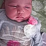 baby, infant, face, clothing, flower, pink, white, gray, blanket, portrait, sleepy, closeup, child, person, cute, soft, fabric, indoors, resting, newborn