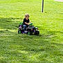 toddler, child, toy_car, grass, outdoor, park, black_shirt, green_lawn, sunlight, vehicle, play, young_child, casual_clothing, grass_field, daytime, small_vehicle, pedestrian, tree, car, nature