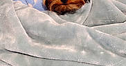 Chocolate is registered to the contest to win money with this photo: adorable, animal, bed, blanket, blue_pillow, calm, comfort, cozy, cute, dog, face, fur, home, indoor, peeking, pet, resting, small_dog, soft_texture, wrapped