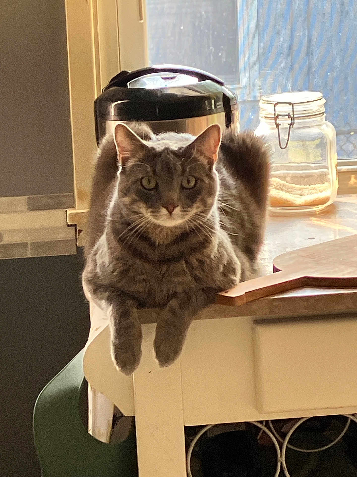 Doc