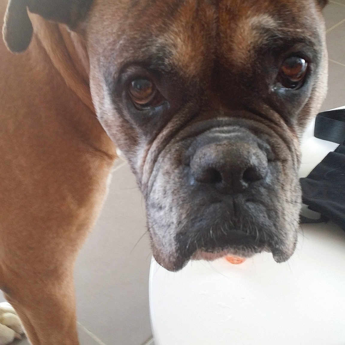 Max