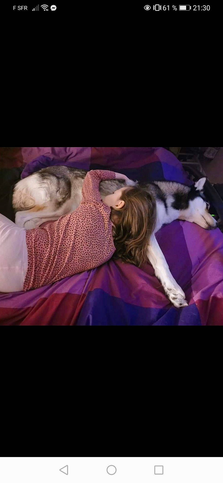 Louane a rejoint le concours — aidez-le/la à gagner de superbes lots ! bridal_clothing, cg_artwork, comfort, companion_dog, couch, darkness, dress, electric_blue, event, felidae, flash_photography, formal_wear, fur, gown, linens, magenta, pink, purple, textile, violet