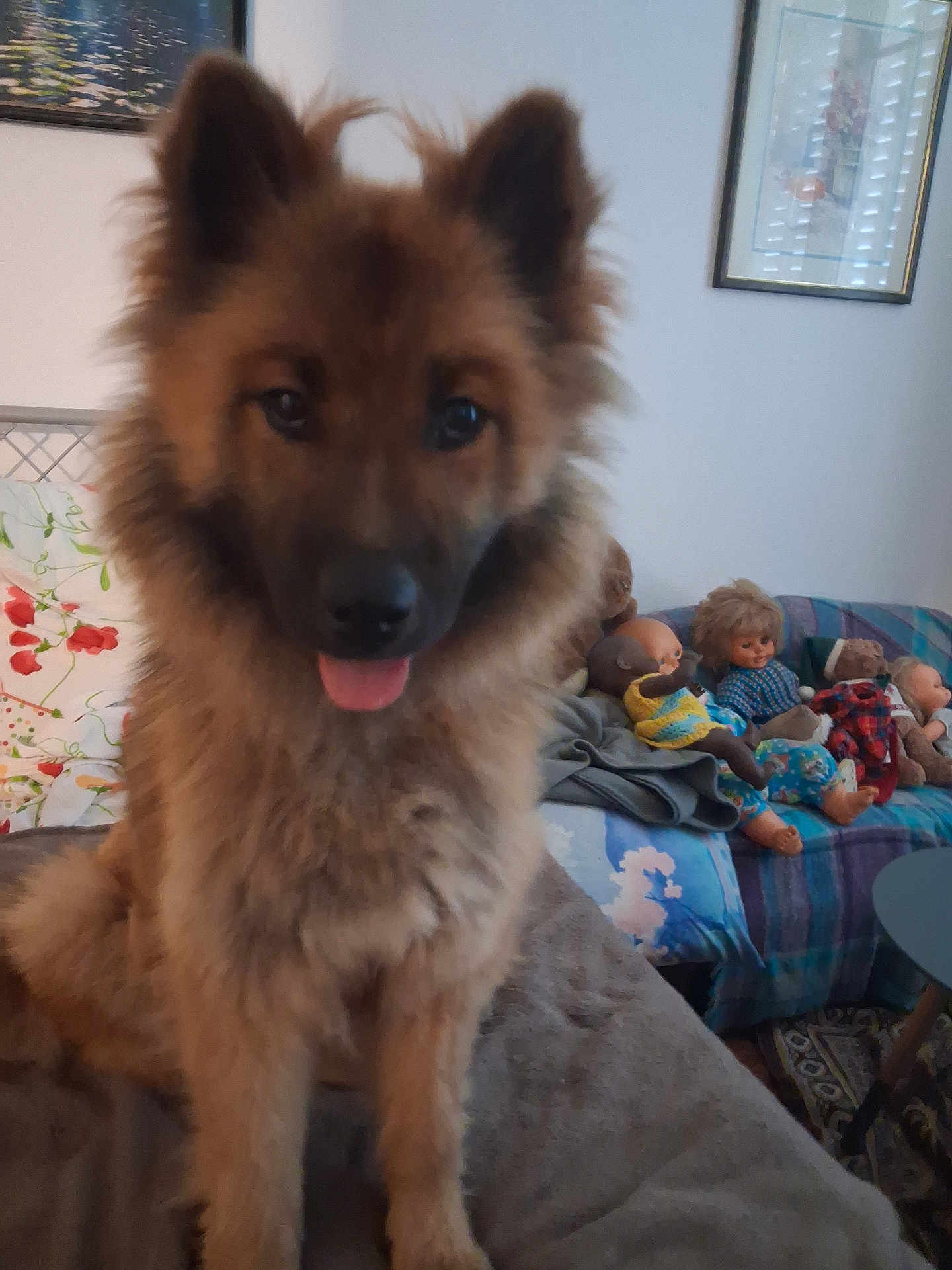 Maya