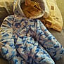 Brownie is registered to the contest to win money with this photo: cat, animal, clothing, onesie, blue, white, patterned, indoor, couch, pillow, furniture, pet, cozy, relaxing, warm_lights, fur, mammal, cute, domestic_animal, soft