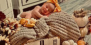 Amara joined the competition — help win amazing prizes! autumn, baby, blanket, booties, bow, cozy, crate, cute, decor, flooring, flowers, headband, indoors, infant, milestone, newborn, portrait, pumpkins, sleeping, wooden_sign