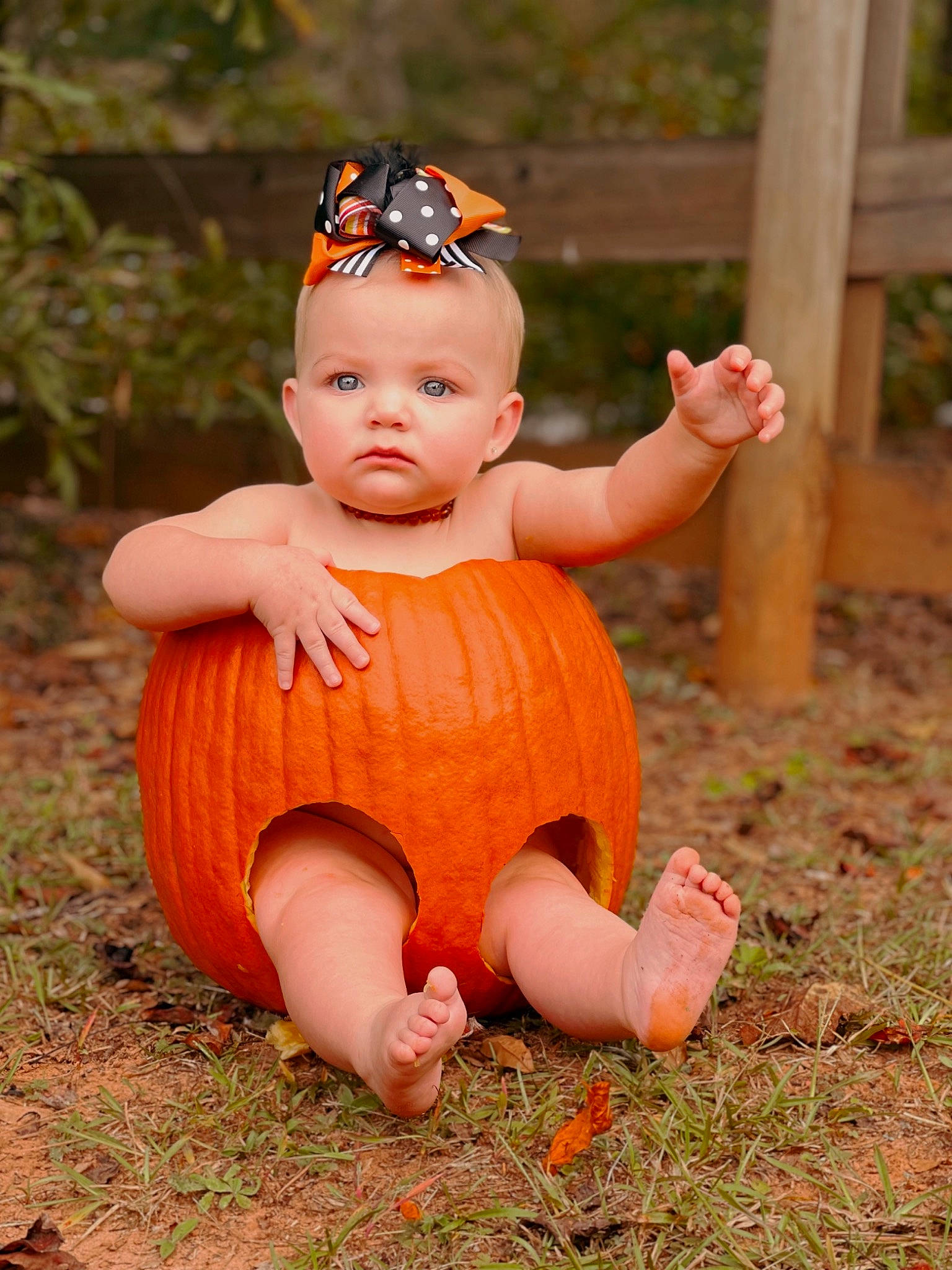 Kamdyn is registered to the contest to win money with this photo: baby, baby_toddler_clothing, calabaza, cucurbita, fawn, fun, gourd, grass, happy, lawn_ornament, people_in_nature, person, plant, pumpkin, squash, toddler, toy, tree, vegetable, winter_squash