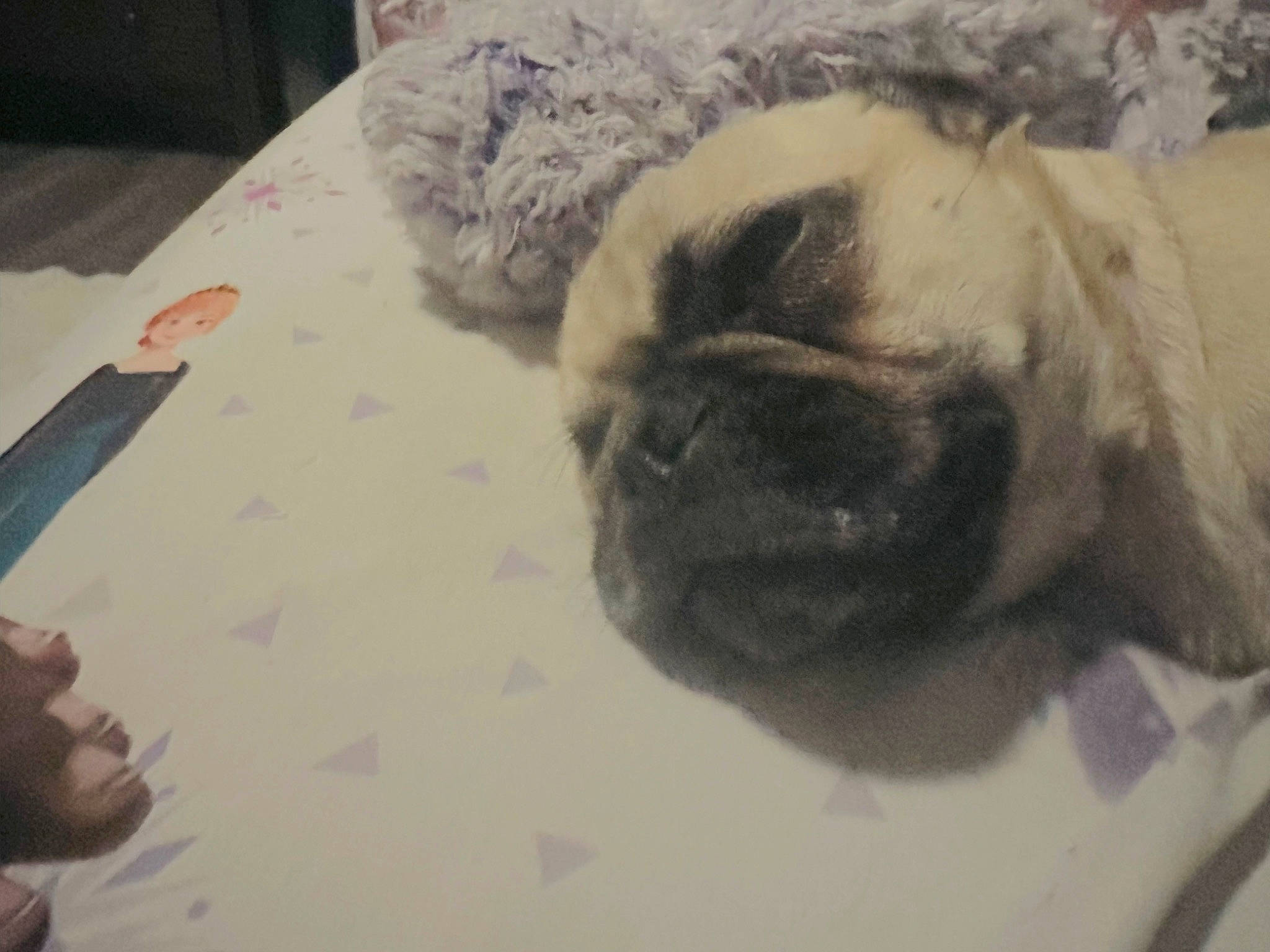 Lefty is registered to the contest to win money with this photo: art, bulldog, canidae, carnivore, cloud, comfort, companion_dog, dog, dog_breed, fawn, flooring, fur, pug, puppy_love, snout, sporting_group, toy_dog, visual_arts, whiskers, wrinkle