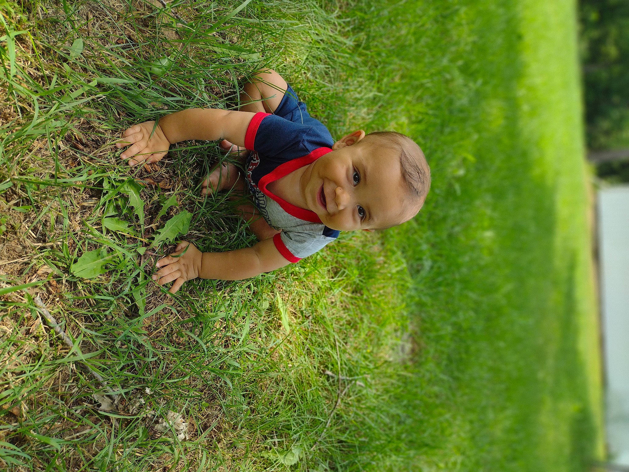 Matty joined the competition — help win amazing prizes! baby, baby_toddler_clothing, grass, grass_family, grassland, groundcover, happy, hat, landscape, lawn, leisure, people_in_nature, person, plant, prairie, shrub, smile, terrestrial_plant, toddler, tree
