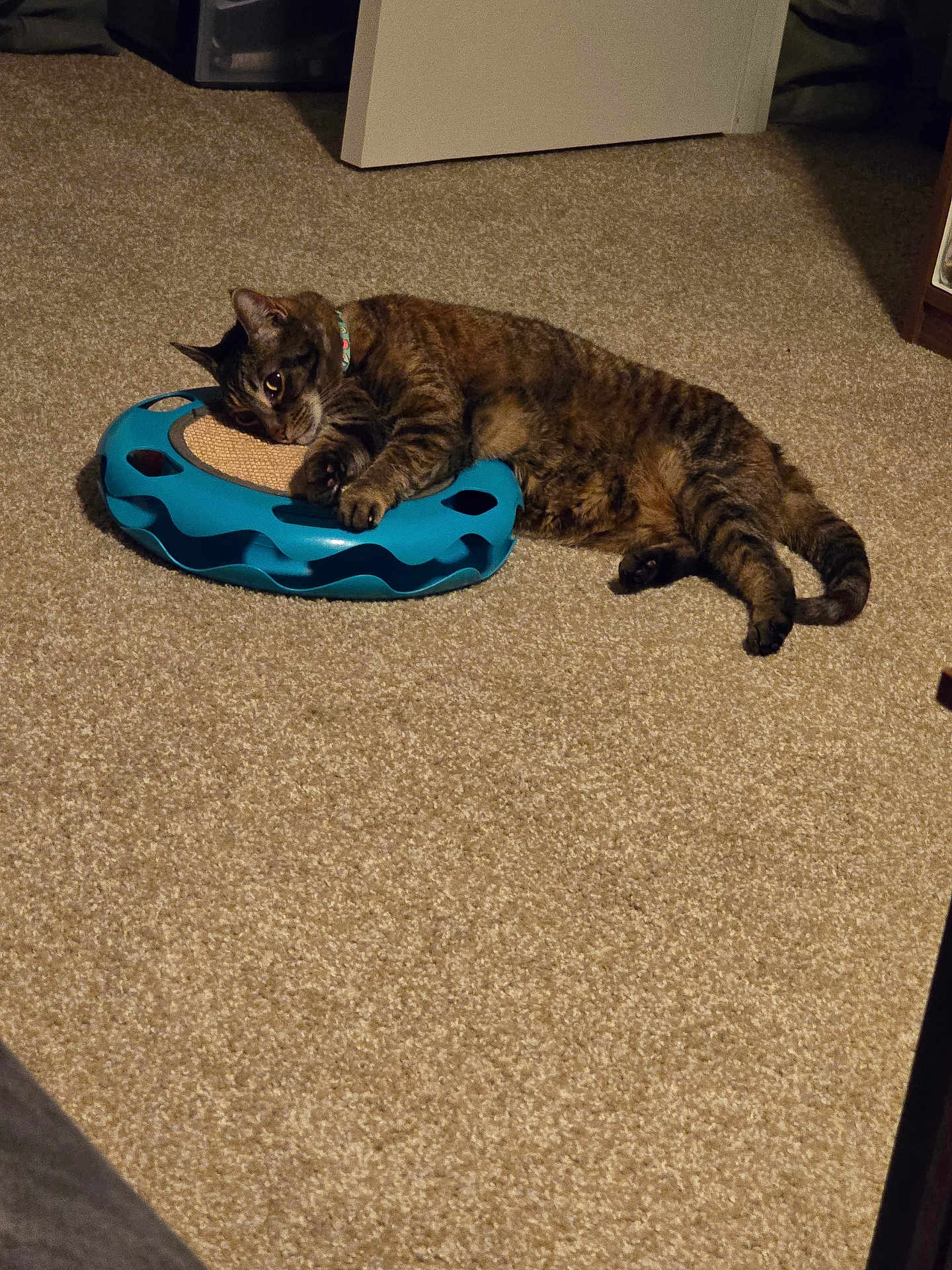 Missy