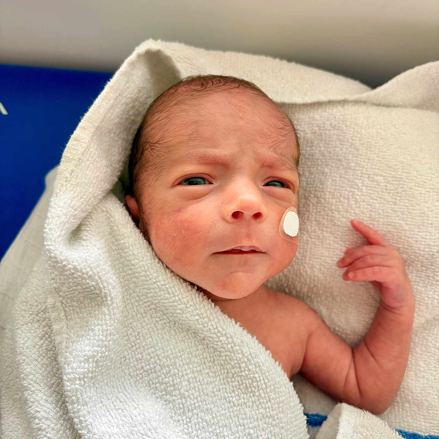 Leyvone a rejoint le concours — aidez-le/la à gagner de superbes lots ! arm, awake, baby, bed, blanket, cheek_patch, crib, curious_expression, eyes, face, hand, hospital, infant, medical_tape, newborn, newborn_unit, portrait, skin, swaddle, towel