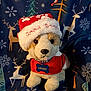 plush_dog, stuffed_animal, holiday_hat, red_clothing, dog_tag, blue_tag, winter_blanket, reindeer_pattern, snowflakes, birds, festive, cute, toy, decorative, soft_toy, christmas_theme, fabric_texture, background_pattern, indoor, close_up