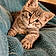 Athos