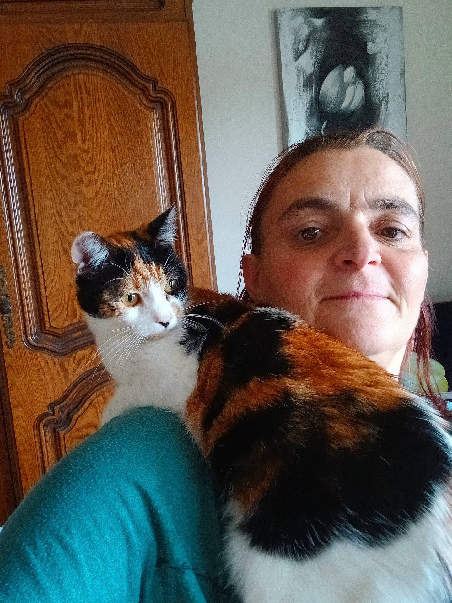 Nala a rejoint le concours — aidez-le/la à gagner de superbes lots ! animal, black, brown, calico_cat, casual, cat, closeup, furniture, home, indoor, looking_away, orange, painting, person, pet, portrait, shoulder, white, woman, wooden_cabinet