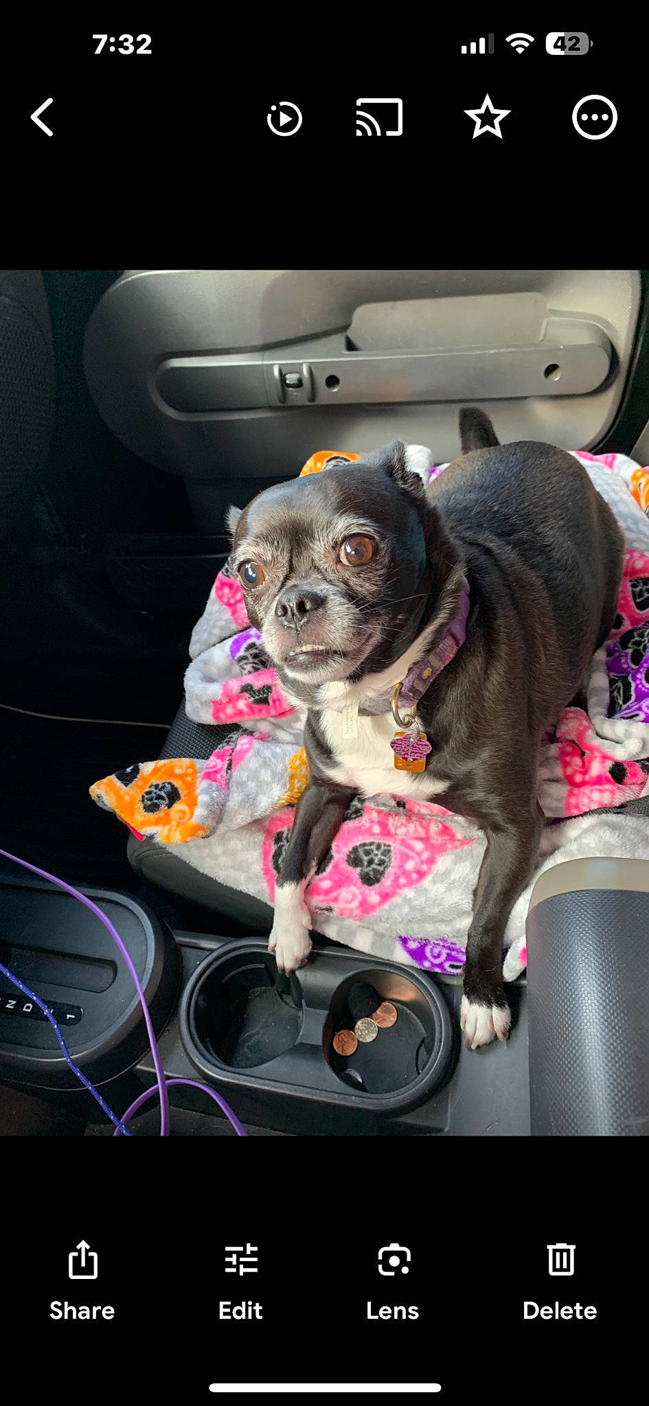 Addi joined the competition — help win amazing prizes! auto_part, automotive_design, automotive_lighting, automotive_mirror, car, car_seat, car_seat_cover, carnivore, collar, companion_dog, dog, dog_breed, dog_collar, fawn, motor_vehicle, seat_belt, snout, steering_wheel, vehicle, vehicle_door