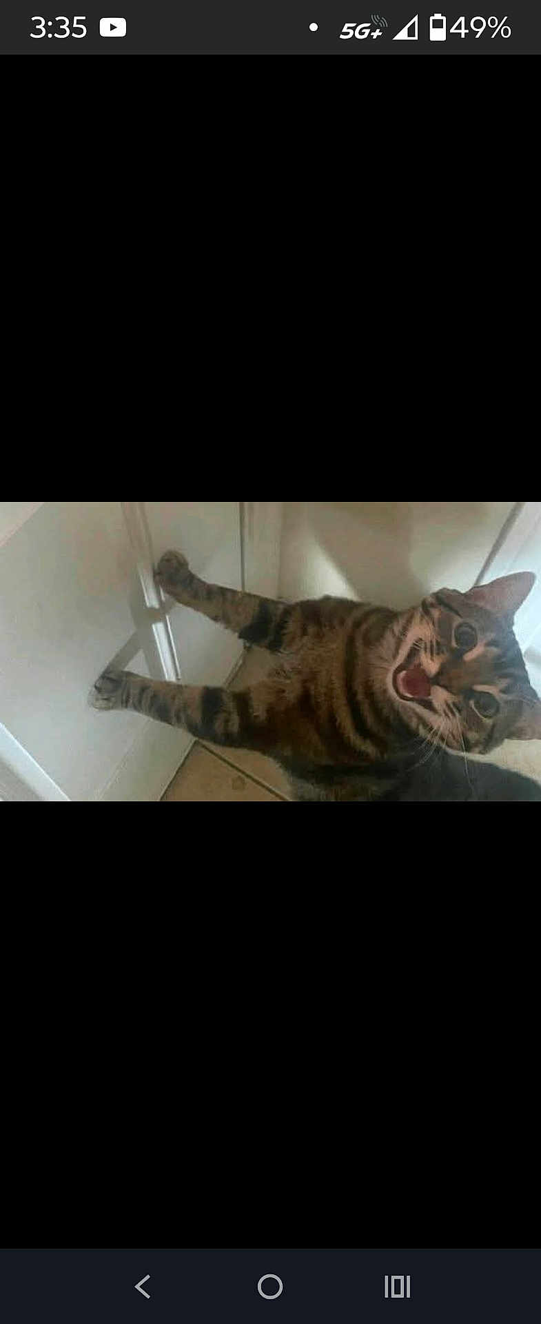 Pishy joined the competition — help win amazing prizes! cat, tabby_cat, meowing, mouth_open, paws, door, cabinet, indoor, tile_floor, pet, whiskers, fur, surprised, playful, cute, looking_up, portrait, screenshot, phone_status_bar, home