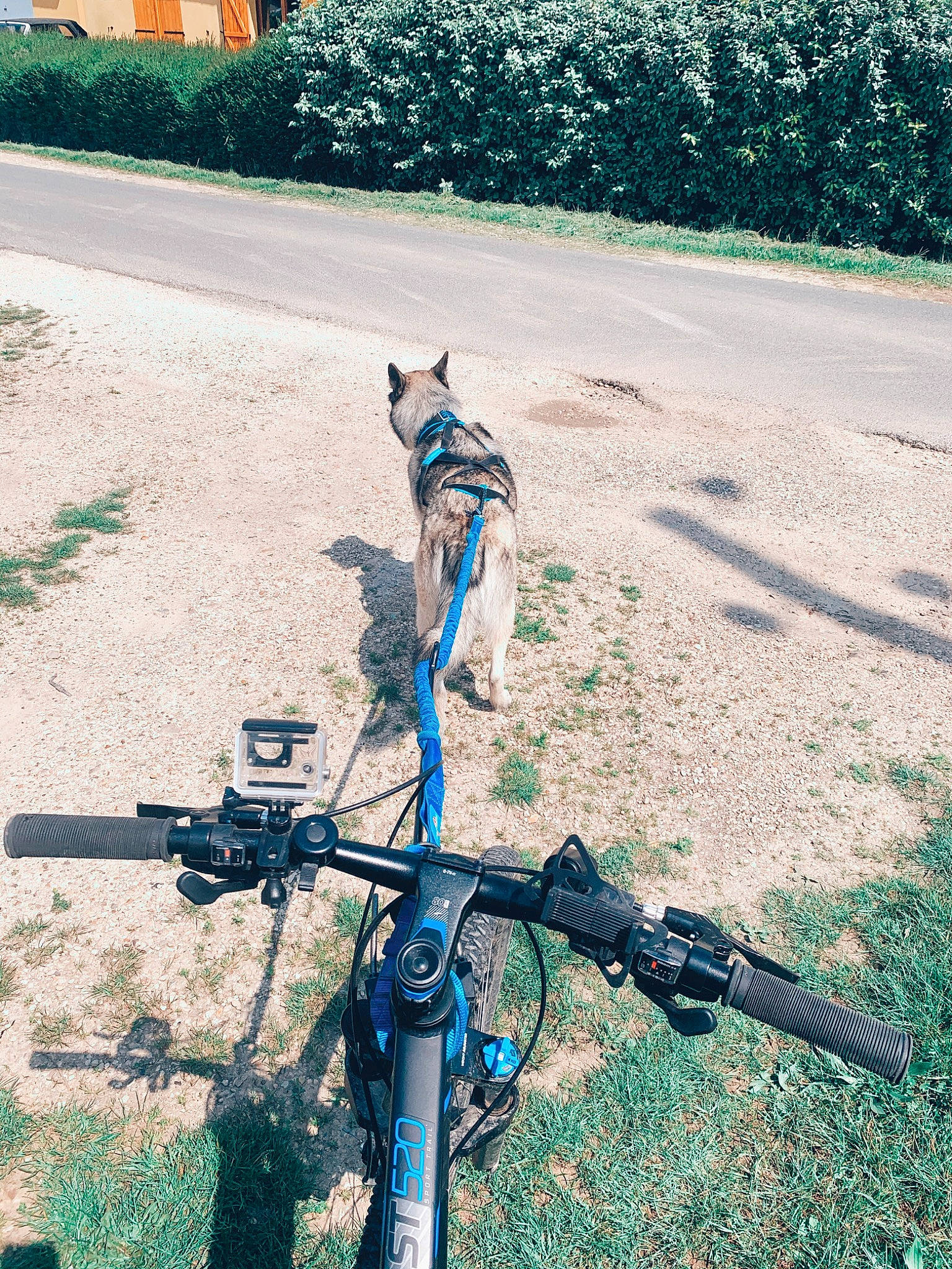 Enoch participe au concours pour gagner de l'argent avec cette photo : bicycle, bicycle_accessory, bicycle_drivetrain_part, bicycle_handlebar, bicycle_part, bicycle_wheel, grass, mountain_bike, plant, road, road_bicycle, sports_equipment, tree, vehicle