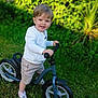 balance_bike, bike, casual_clothing, child, daylight, fun, grass, greenery, happy, nature, outdoor, person, play, shorts, smile, sneakers, toddler, toy, white_jacket, young