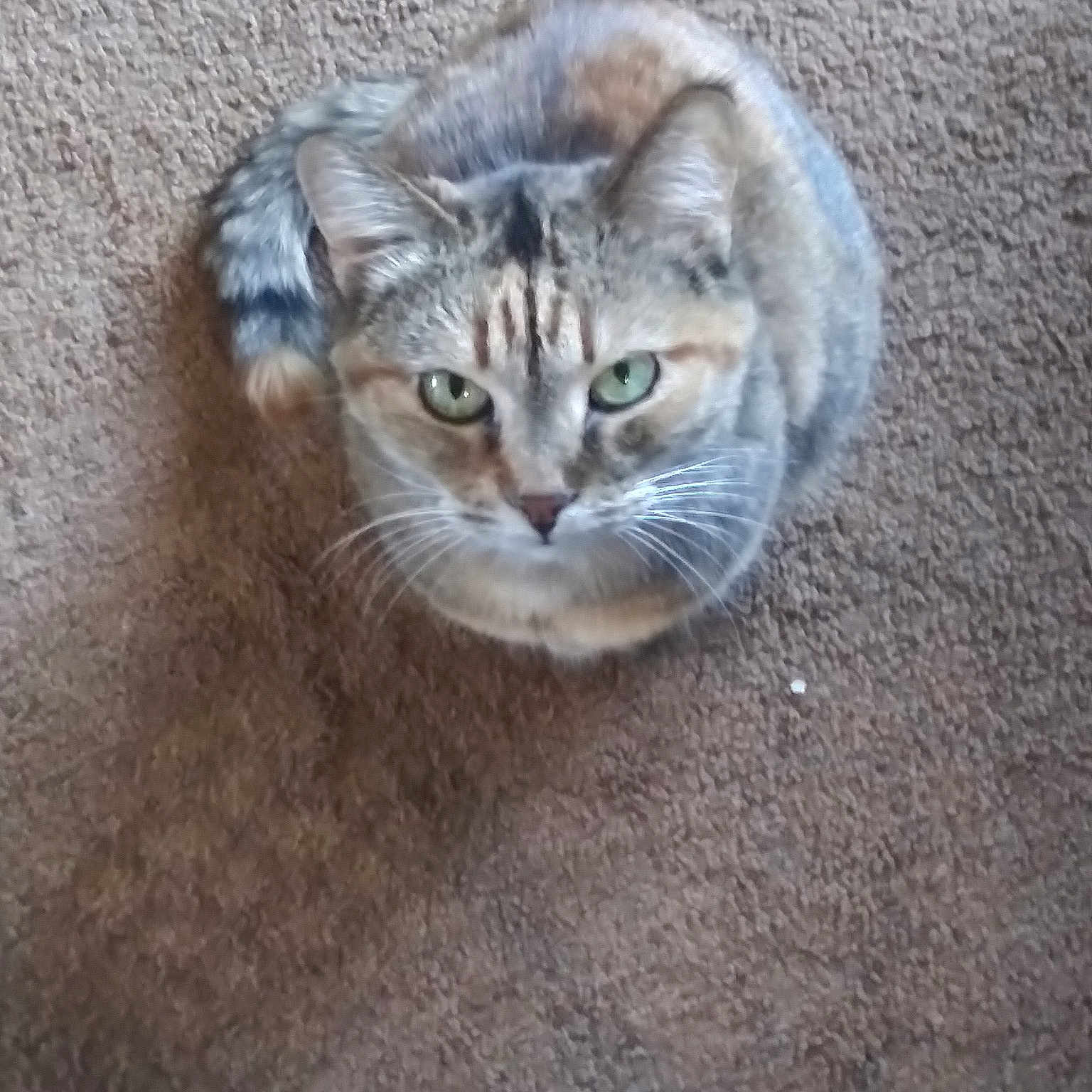 Amber