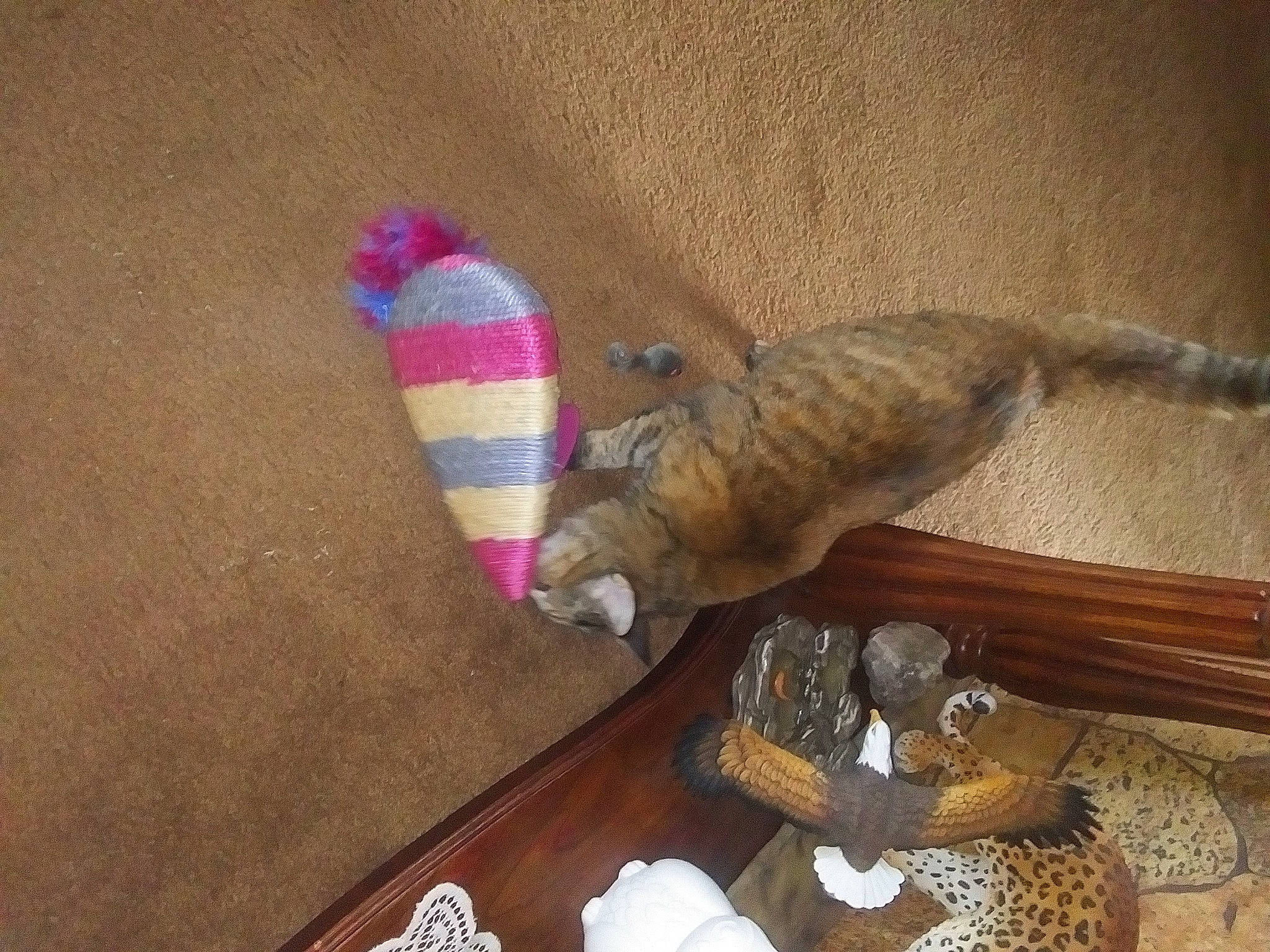 Amber is registered to the contest to win money with this photo: canidae, carnivore, cat, cat_toy, comfort, dog_breed, domestic_short_haired_cat, fawn, felidae, flooring, fur, hardwood, small_to_medium_sized_cats, sporting_group, stuffed_toy, tail, toy, whiskers, wood, wool