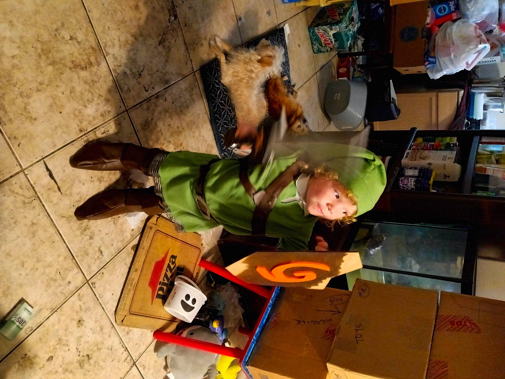 Conrad is registered to the contest to win money with this photo: box, carton, flooring, fun, fur, headwear, person, shelf, shipping_box, sidewalk, toddler, wood