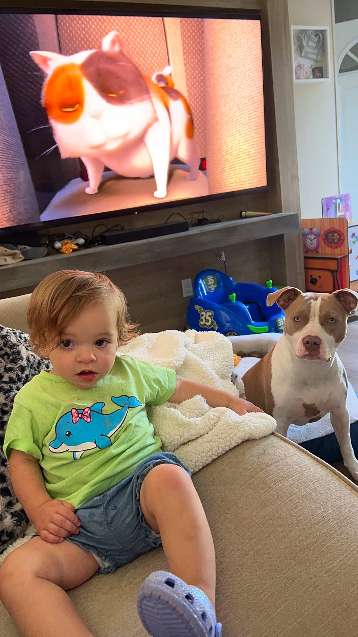 Oaklee joined the competition — help win amazing prizes! baby, comfort, companion_dog, couch, display_device, dog, event, fawn, fun, happy, lap, leisure, mammal, person, sitting, snapshot, t_shirt, television, television_set, toddler