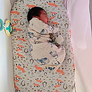 Rafael is registered to the contest to win money with this photo: baby, bed, child, cozy, crib, cute, cute_baby, fabric, fox_pattern, indoors, infant, newborn, onesie, patterned_bedding, peaceful, portrait, resting, sleeping, small, soft_lighting