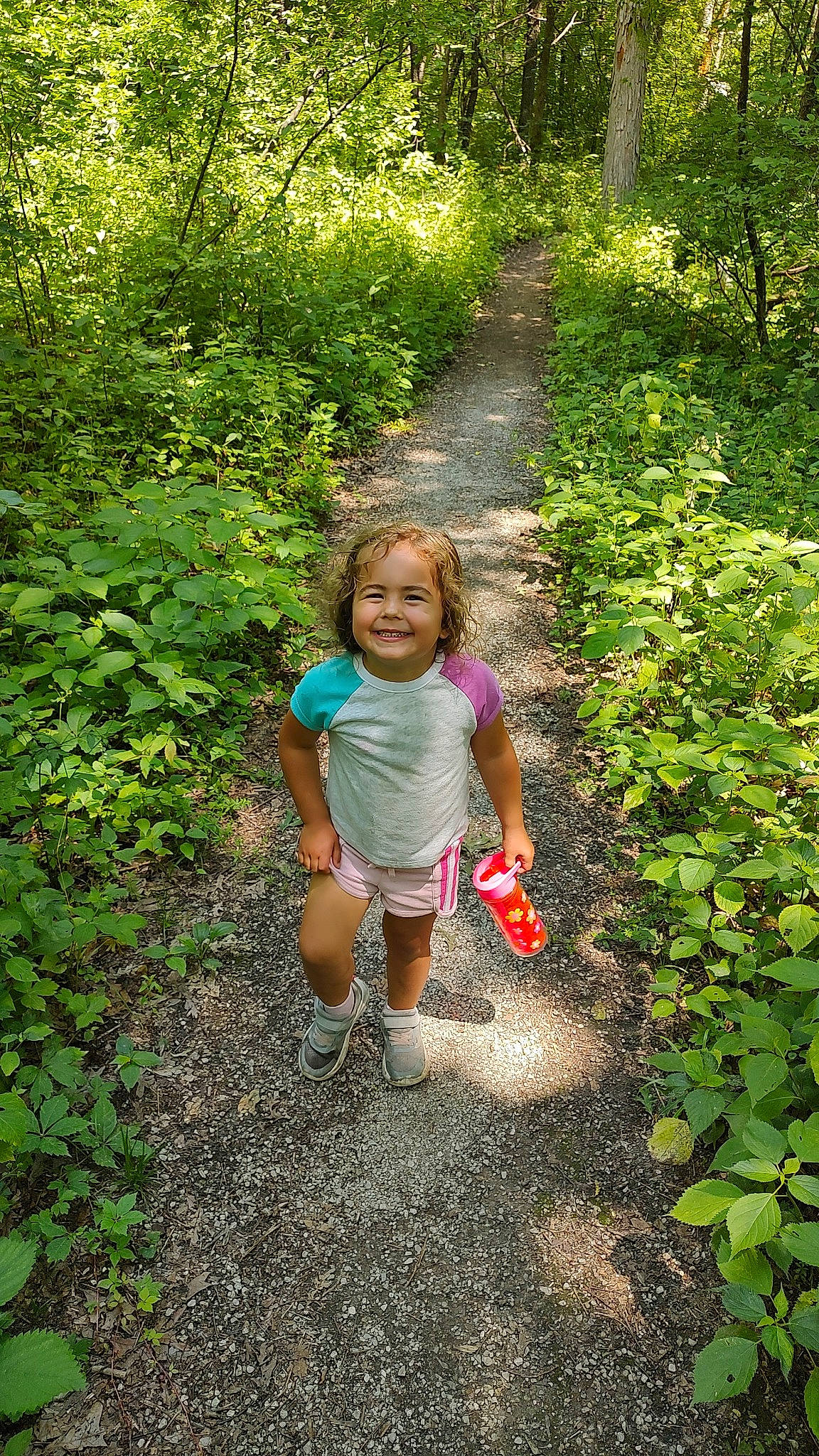 Luna joined the competition — help win amazing prizes! forest, grass, grass_family, groundcover, joy, landscape, leisure, natural_environment, natural_landscape, people_in_nature, person, plant, plant_community, shorts, shrub, smile, terrestrial_plant, toddler, trail, tree