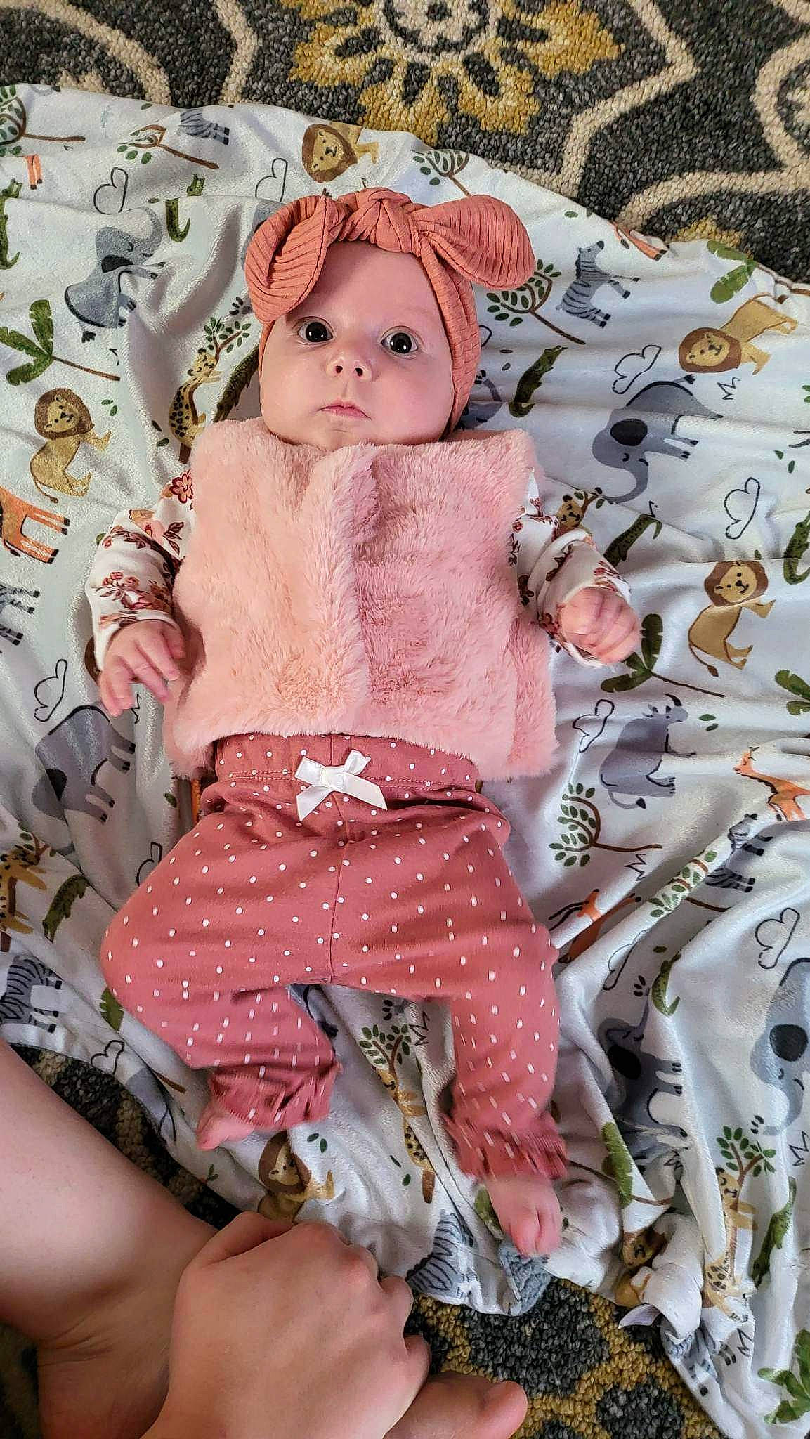 Hailee joined the competition — help win amazing prizes! bangs, chest, doll, dress, eyelash, fashion_accessory, fashion_design, fictional_character, fur, headwear, hime_cut, human_leg, pattern, peach, person, pink, skin, textile, thigh, toy