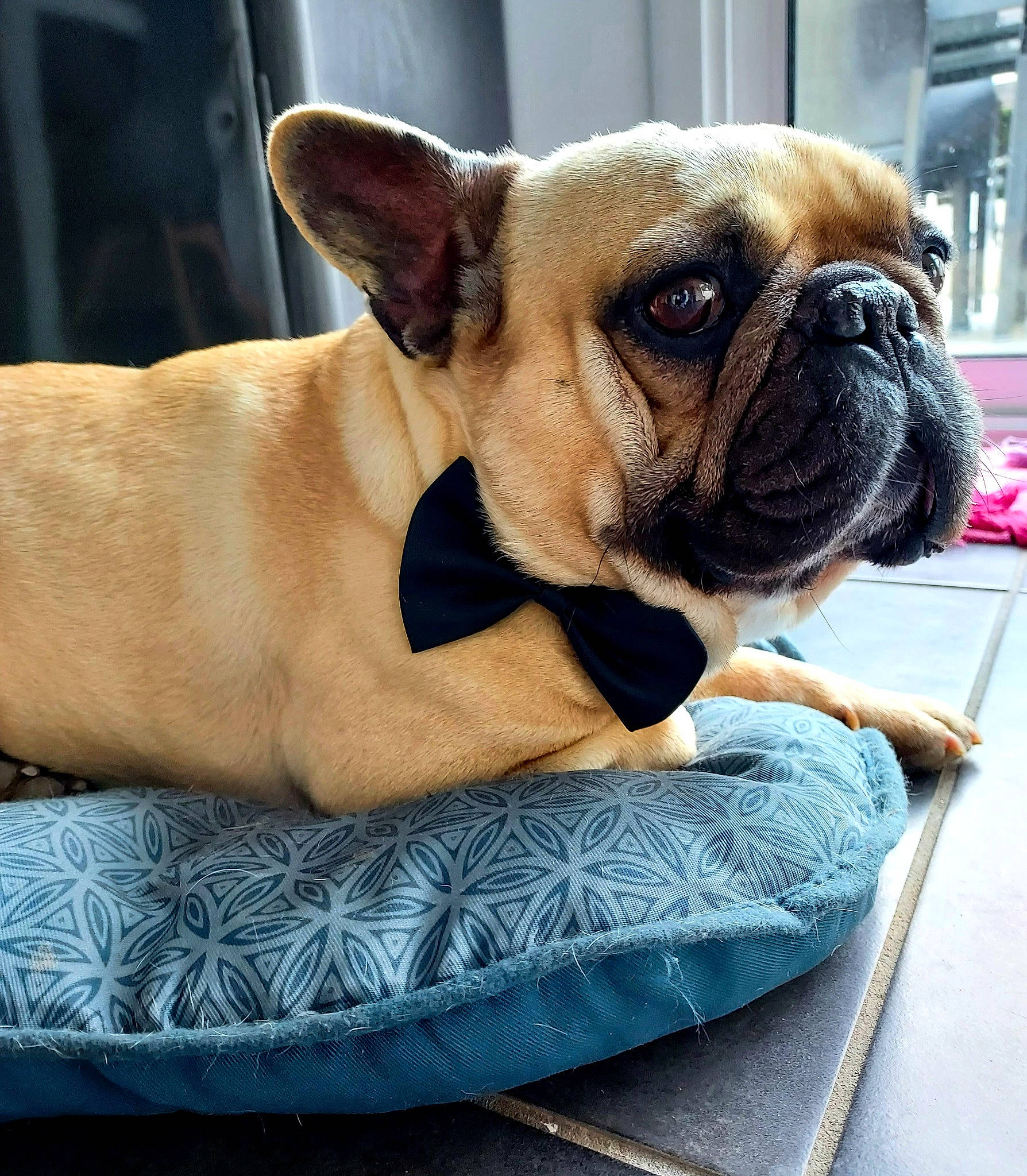 Oscar