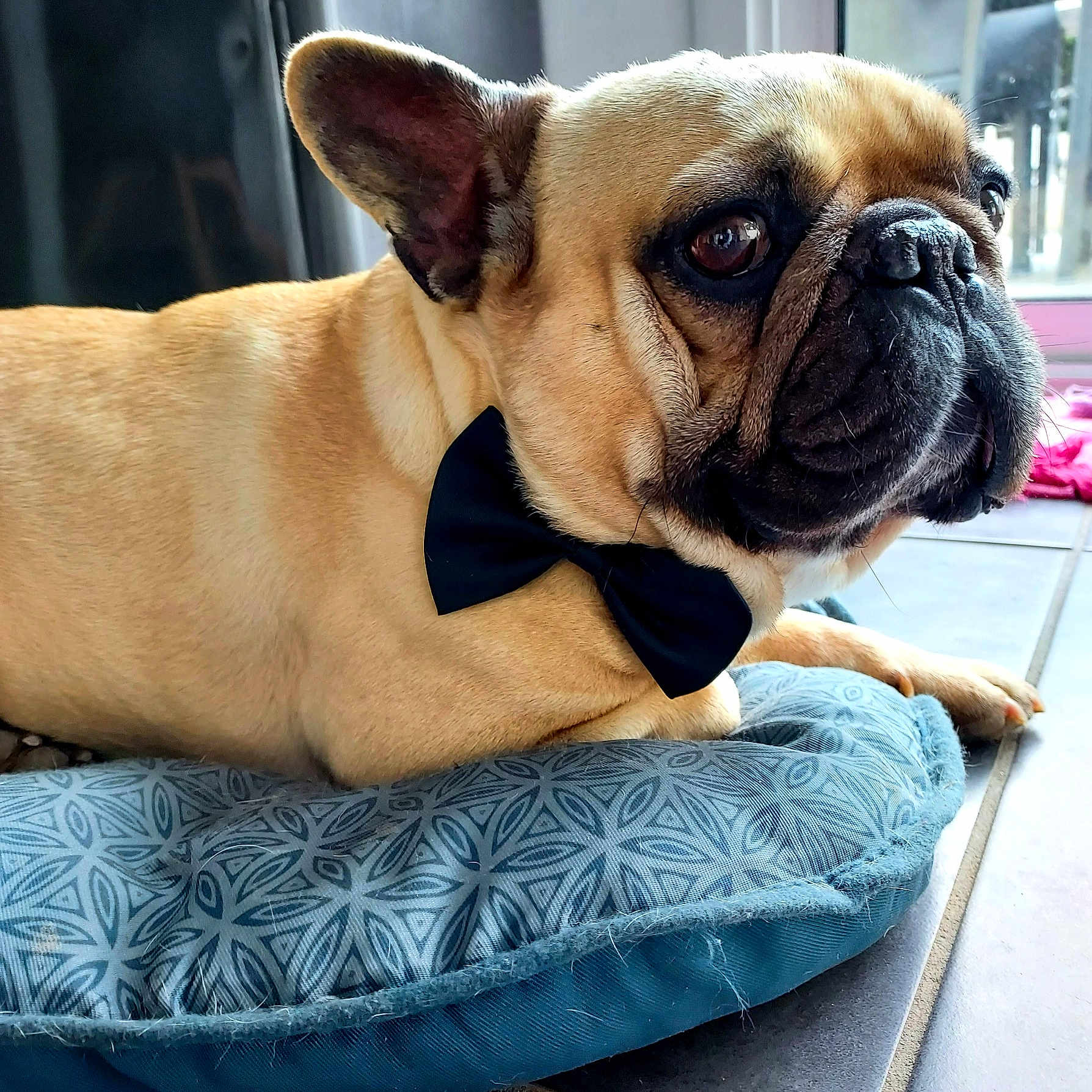 Oscar