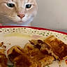 animal, background, breakfast, cat, close_up, curious, domestic, face, feline, focused, food, indoor, kitchen, orange_cat, pet, plate, snack, table, waffle, whiskers