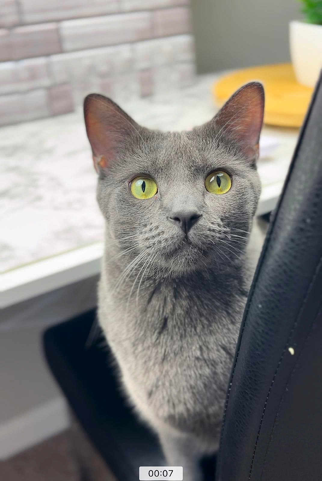 Stormy