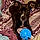 Paisley