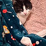 cat, black_and_white_cat, blanket, holiday_blanket, candy_cane, snowflake, gingerbread_man, cozy, resting, pet, indoor, soft_texture, pink_blanket, cute, animal, fur, whiskers, face, relaxed, sleepy